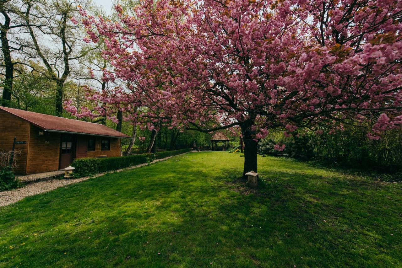 Shubu Zen Vendeghaz Otel Szilvásvárad Dış mekan fotoğraf