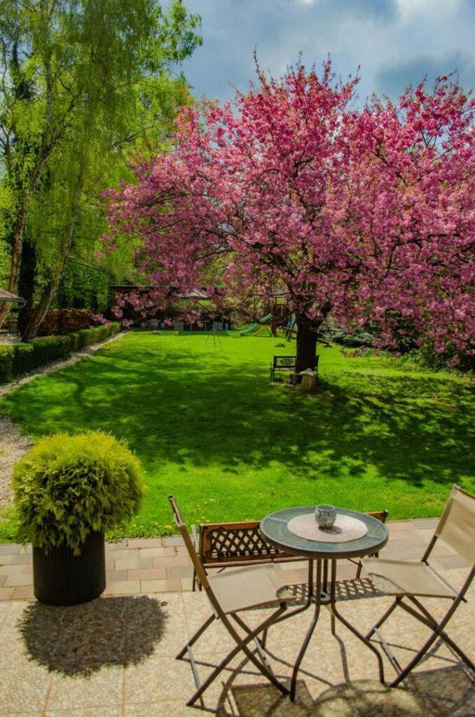 Shubu Zen Vendeghaz Otel Szilvásvárad Dış mekan fotoğraf